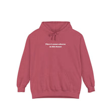 Load image into Gallery viewer, There’s some whores in this house Hoodie
